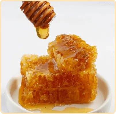 Bees Wax