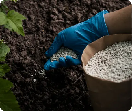 Fertilizer Enhancer