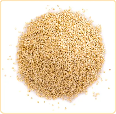 DevAmrit Quinoa