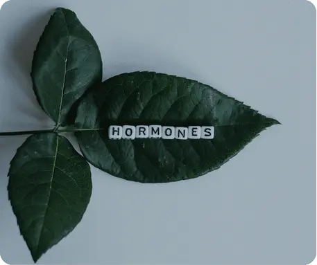 3DI Hormone Booster