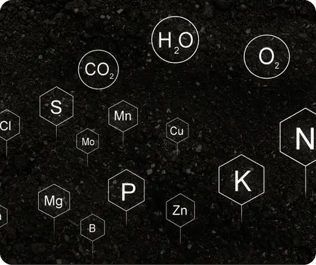 3DI Micro-Nutrient Enhancer